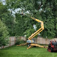 Best Palm Tree Trimming  in Swansea, IL