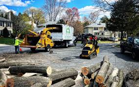 Best Lawn Mowing  in Swansea, IL